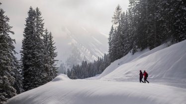 Auf dem Weg zur Ehenbichler Alm