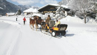 Hanneshof Erpfendorf Tirol