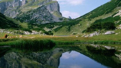 Zireinersee, © Dessl Irmgard