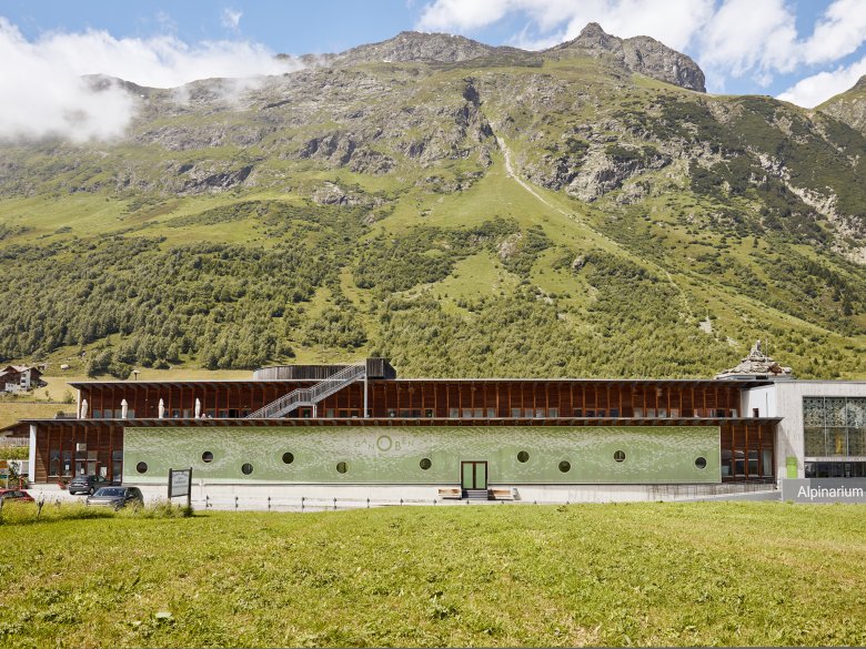 Zum Dorf hin &ouml;ffnet sich das Alpinarium Galt&uuml;r den Besucher:innen. Die m&auml;chtige Lawinenschutzmauer an seiner R&uuml;ckseite sch&uuml;tzt vor Naturgefahren vom Grieskopf.