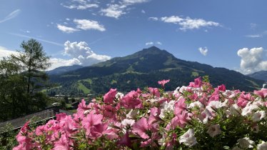 Ferienwohnung Gschnaller Aussicht Kitzbühler Horn