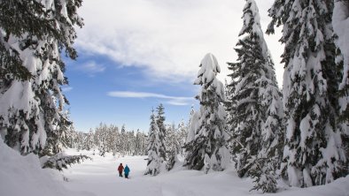 Winterwandern