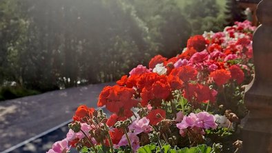 alpbachloft_alpbachtal_annasbalkonblumen, © Anna-Christina Moser