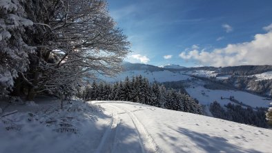 auf dem Weg zum NL - Weihnachten2020