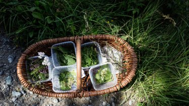 Foraging, © Tirol Werbung / Hörterer Lisa