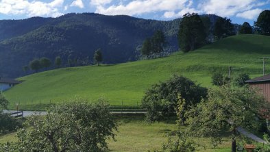 Landidyll am Thiersee - Ausblick