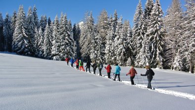 Schneeschuhwanderung Reitherkogel, © Alpbachtal Tourismus