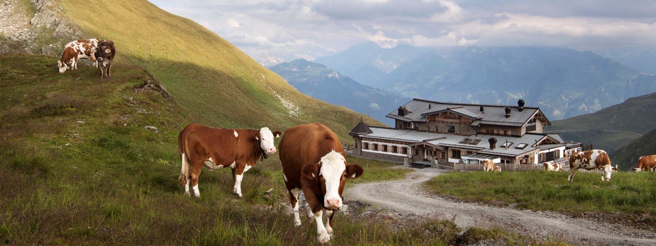 Bei der Wedelhütte, © Tirol Werbung/Frank Bauer