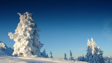 Wintermärchen