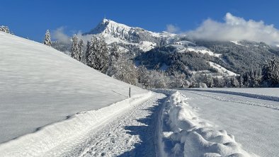 Kitzbüheler Horn