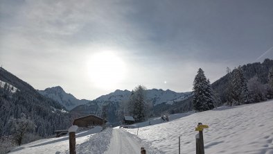 innergreit_alpbachtal_Zufahrt Winter