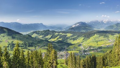 Niederau  - Sommer  Panorama