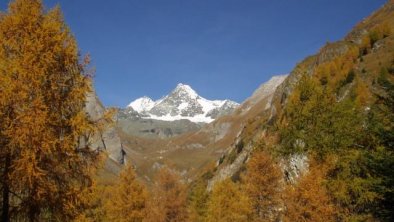 Glockner im Herbst