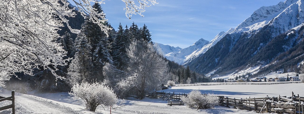 Winterwanderung im Gschnitztal, © Joakim Strickner