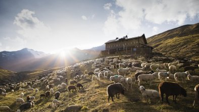 Martin Busch Hütte