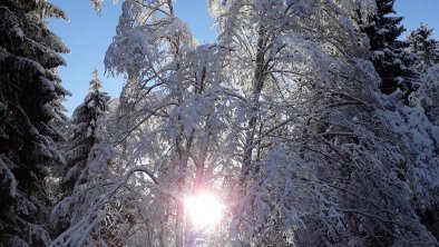 Winterlandschaft, © Theresia Margreiter