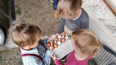 fleißige Helfer beim Eier holen