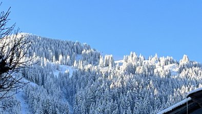 wunderschöner Wintertag