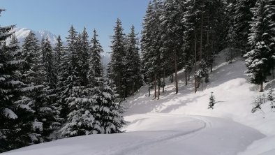 Schneeschuhwanderung