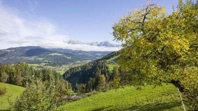 Wohnung 2 Ausblick