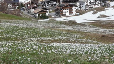 Frühling in Vent