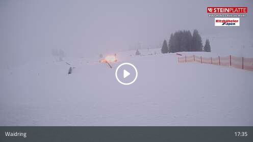 Webcam Snowpark / Triassicpark