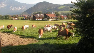 Herbstimpressionen