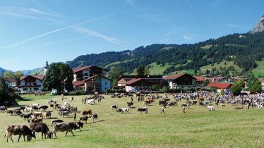 Der Almabtrieb in Tannheim wird jedes Jahr groß gefeiert, © TVB Tannheimer Tal