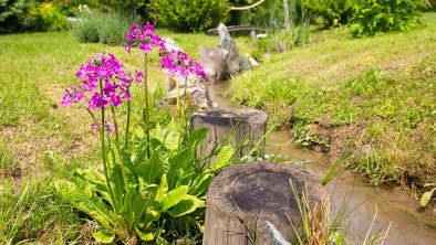 eigener Bachlauf im Garten