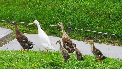 Familienausflug