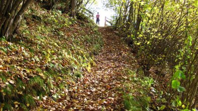 Herbstwanderung in Flirsch-Haus Wechner