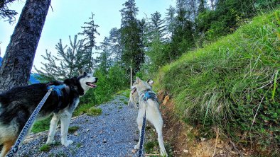 Leitenwald mit Arun, Nanook und Damon, © im-web.de/ DS Destination Solutions GmbH (eda3 TOL)