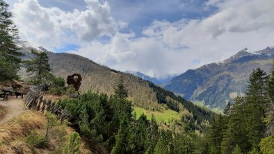 Besinnungssteig in's Pinnistal