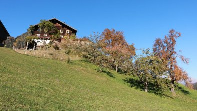 Alter Obstgarten Ansicht Bauernhaus