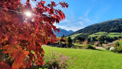 Garten mit Ahornbaum_Herbst 2021