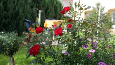 Garten mit Blumen