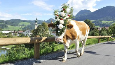 Almabtrieb Reith, © Alpbachtal Tourismus