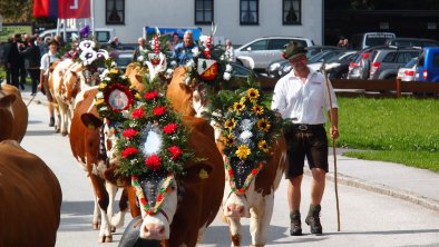 beim Almabtrieb 2013, © Fam. Naschberger