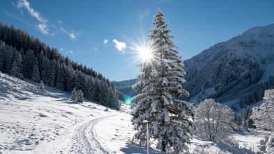 Schoenanger_Wildschoenau, © Wildschönau Tourismus