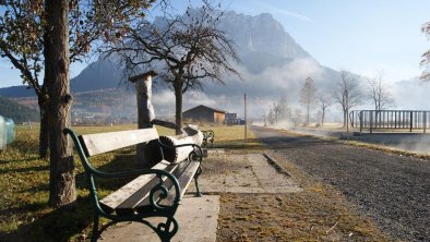 Herbst im Moos