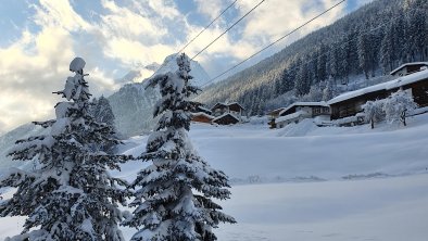 Blick von Hausrückseite in Richtung Westen