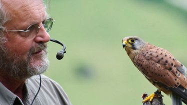 Greifvogelpark Telfes im Stubai, © Greifvogelpark Telfes