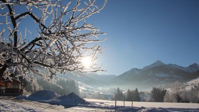 Moahof Appartements Alpbach, eisige Winteraussicht, © Klingler Sandra