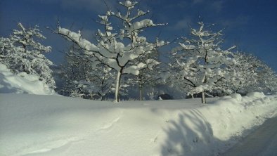 Sieglhof_Alpbachtal_Breitenbach_Winter Obstgarten, © Sieglhof