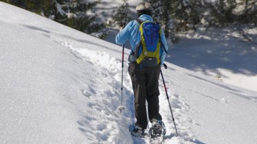 Schneeschuhwanderung Taubensee - Pittenharter Kreuz, © Foto Athesia Tappeiner