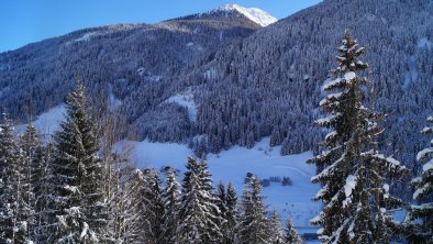 Aussicht Balkon Richtung Süden