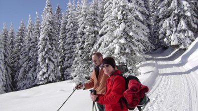 Entschleunigung beim Winterwandern