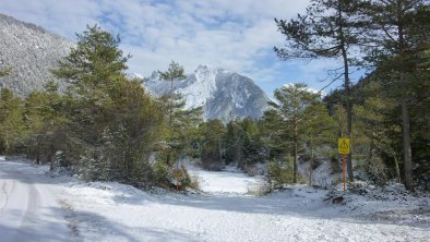 Wanderwege, Loipe gleich hinter dem Haus am Walde, © Das Haus am Walde