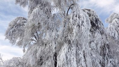 Winterparadies 2016, © Hans-Sieghard Wilhelmer