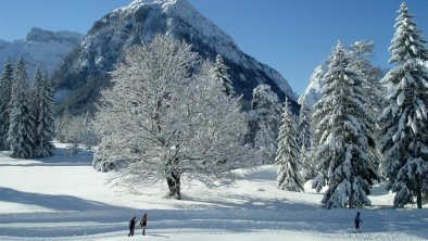 Winterwanderweg hinterm Haus, © Pension Bergheim